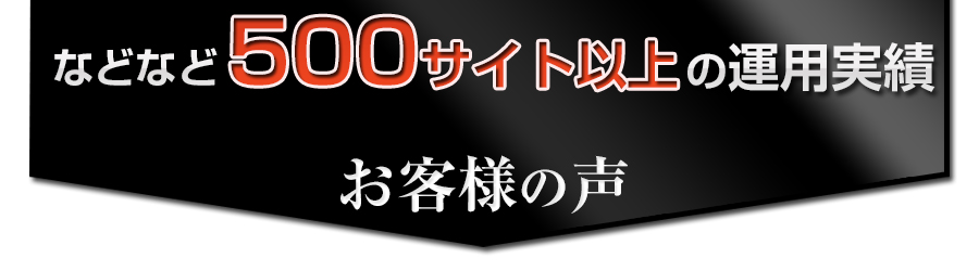 などなど500サイト以上の運用実績 などなど500サイト以上の運用実績